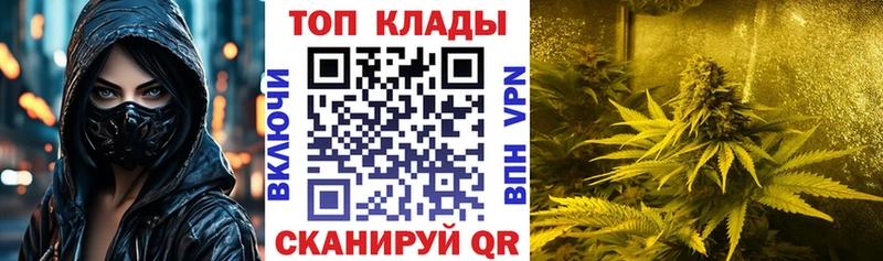 Лсд 25 Кингисепп