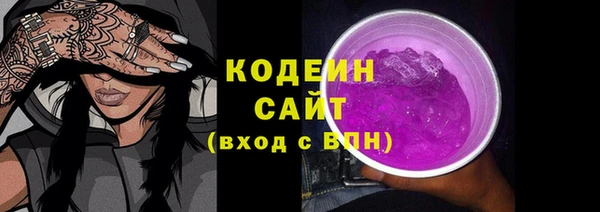 тгк Абаза