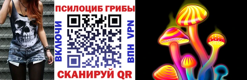 darknet телеграм  Кингисепп  Псилоцибиновые грибы MAGIC MUSHROOMS 
